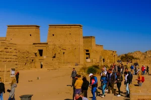 Gallery Thumbnail 2
